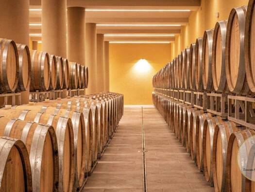 Büro zum Kauf 15.000.000 € Montepulciano 53045