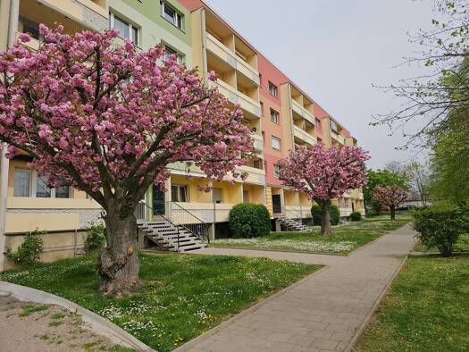 Wohnung zur Miete 380 € 3 Zimmer 60,4 m² frei ab sofort Hardenbergstraße 19 Weißenfels 06667