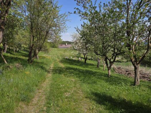 Haus zum Kauf 279.000 € 5 Zimmer 160 m² 7.622 m² Grundstück Kottes-Purk 3623