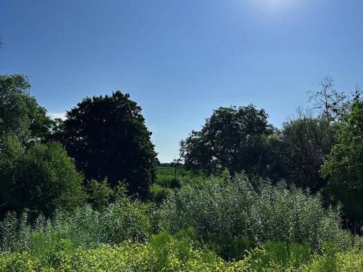 Grundstück zum Kauf 499.000 € 670 m² Grundstück Lochbrücke Meckenbeuren 88074