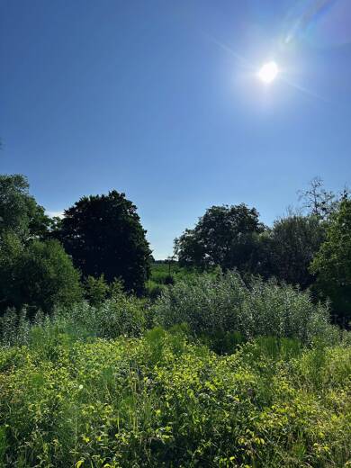 Grundstück zum Kauf 499.000 € 670 m² Grundstück Lochbrücke Meckenbeuren 88074