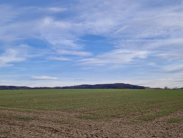 Grundstück zum Kauf provisionsfrei 138.000 € 690 m² Grundstück Im Witthausfeld Vlotho 32602