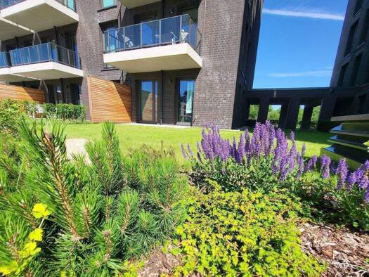 Terrassenwohnung zur Miete - Erstbezug als Kapitalanlage geeignet 1.590 € 3 Zimmer 86,8 m² Schleibogen 12 Schleswig 24837