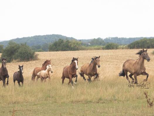 Wohnung zur Miete 740 € 3,5 Zimmer 113 m² Geschoss EG/2 frei ab 01.06.2026 Glaserhof Beratzhausen 93176
