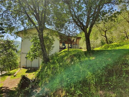 Haus zum Kauf 310.000 € 184 m² 8.000 m² Grundstück Ripola 54016