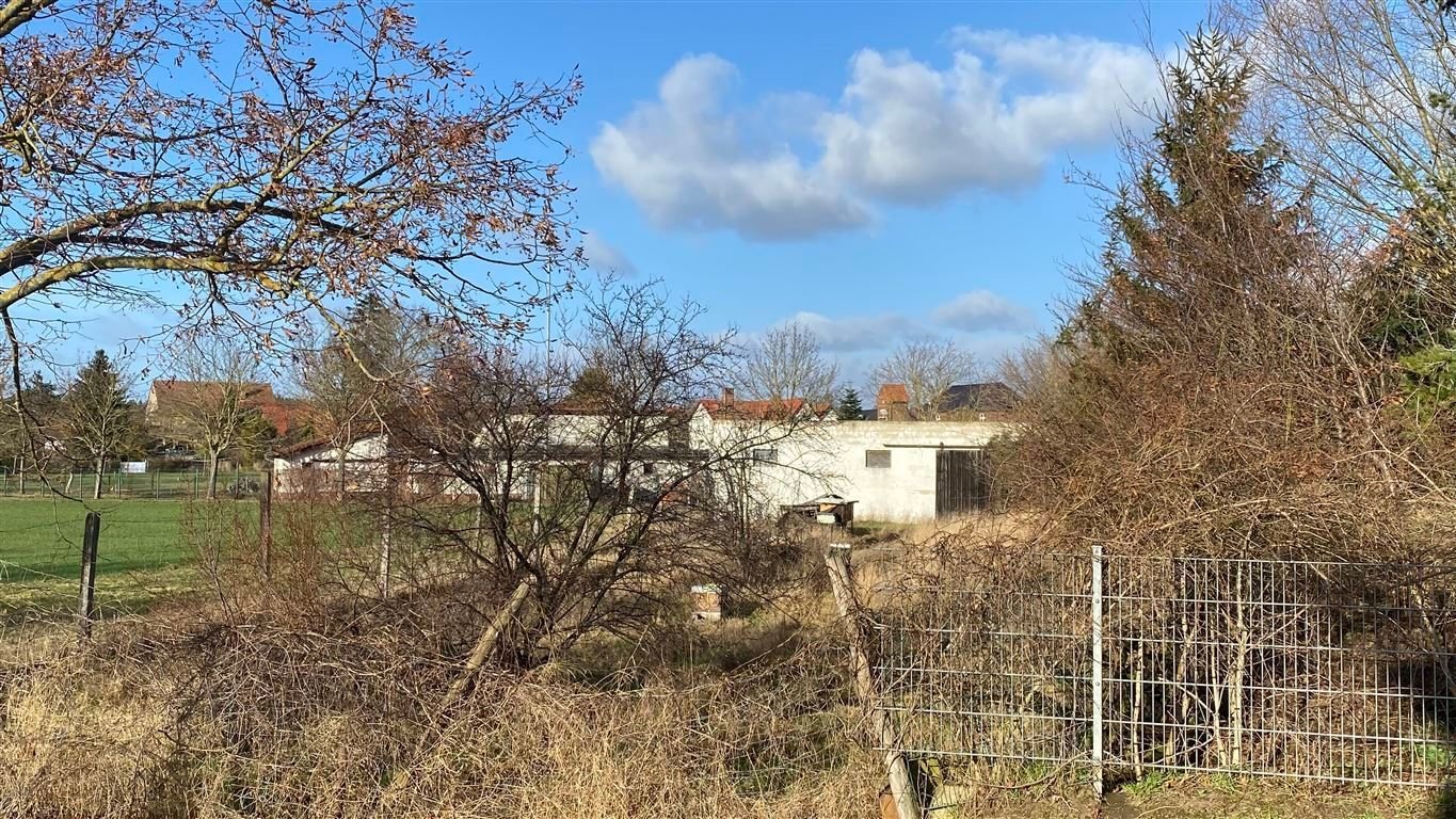 Grundstück zum Kauf provisionsfrei 179.000 € 1.276 m²<br/>Grundstück Zur Kreuzhorst Randau Randau-Calenberge 39114