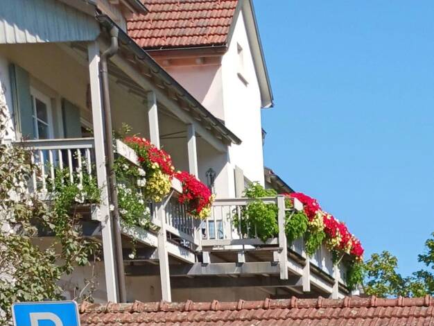 Wohnung zum Kauf provisionsfrei 429.000 € 6,5 Zimmer 158 m² 1. Geschoss Dogern 79804