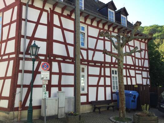 Studio zur Miete 529 € 1 Zimmer 44,1 m² frei ab 01.05.2026 Untergasse 25 Eppstein 65817