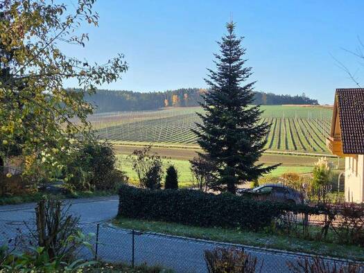 Einfamilienhaus zur Miete 1.250 € 6 Zimmer 160 m² 800 m² Grundstück frei ab sofort Oberhatzkofen Rottenburg a. d. Laaber 84056