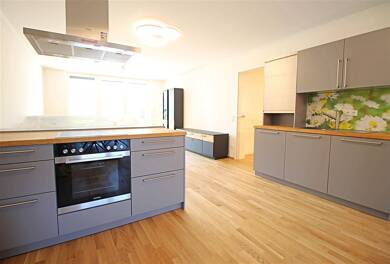Wohnung zur Miete 1.690 € 3 Zimmer 135 m² EG Stadeln Fürth 90765