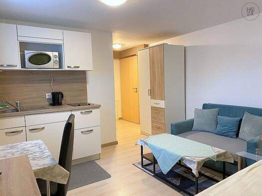 Studio zur Miete Wohnen auf Zeit 480 € 1 Zimmer 18 m² frei ab 01.04.2026 Pfeifferhütte Schwarzenbruck/Pfeifferhütte 90592