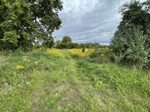 Grundstück zum Kauf 1.288.800 € 12.888 m² Grundstück Briesen 15518