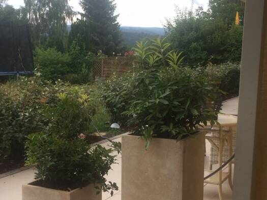 Studio zur Miete 400 € 1 Zimmer 31 m² EG frei ab 01.09.2025 Burbach Marxzell 76359
