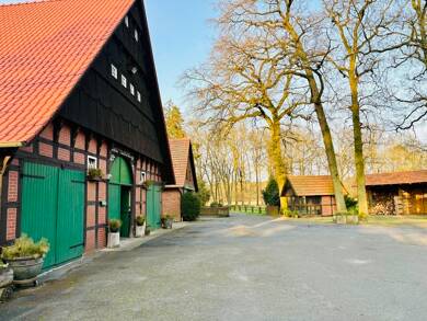Bauernhaus zum Kauf 995.000 € 6 Zimmer 150 m² 34.486 m² Grundstück Ladbergen 49549