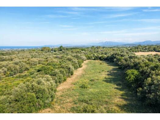 Acker-/Waldstück zum Kauf 250.000 € Muro 07458