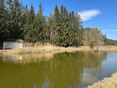 Teich-/Fischwirtschaft zum Kauf 260.000 € 19.520 m² Grundstück Allersberg Allersberg 90584