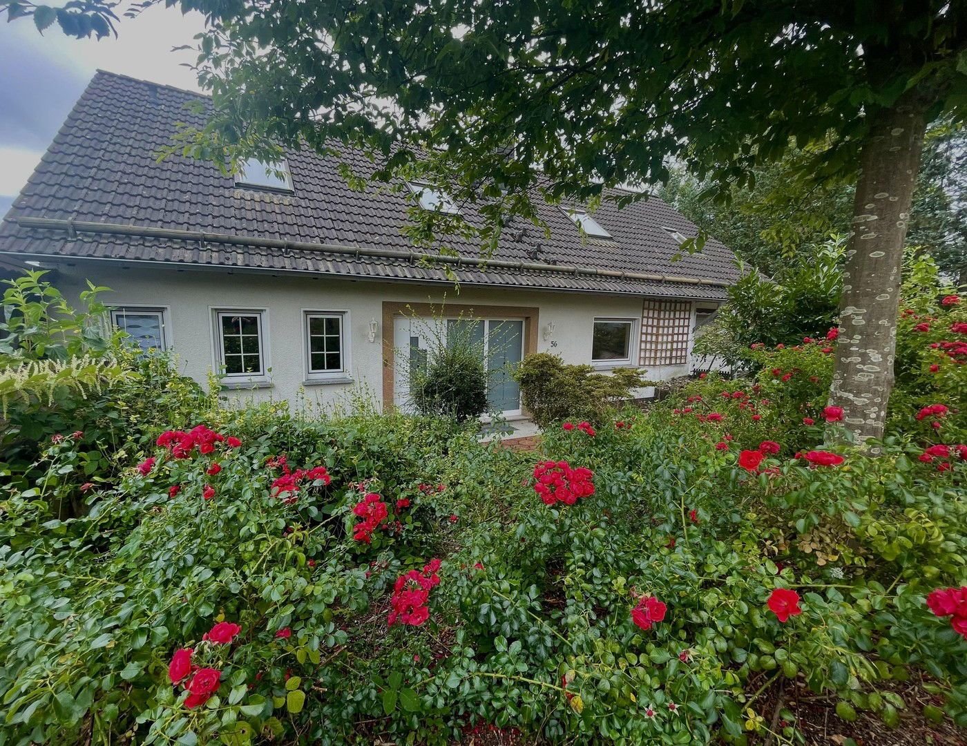 Einfamilienhaus zum Kauf provisionsfrei 495.000 € 8 Zimmer 365 m²<br/>Wohnfläche 835 m²<br/>Grundstück Derschlag Gummersbach 51645