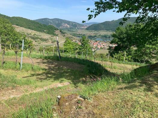 Land-/Forstwirtschaft zum Kauf 42.510 € 654 m² Grundstück Weißenkirchen in der Wachau 3610