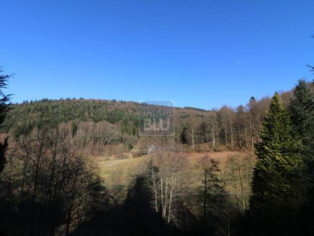 Wohnung zum Kauf 3,5 Zimmer 97 m² Bad Herrenalb Bad Herrenalb 76332