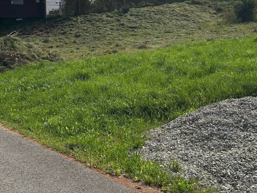 Grundstück zum Kauf 80.000 € 760 m² Grundstück Frankenburg am Hausruck 4873