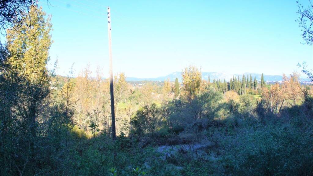 Land-/Forstwirtschaft zum Kauf 580.000 € 17.500 m² Grundstück Korfu