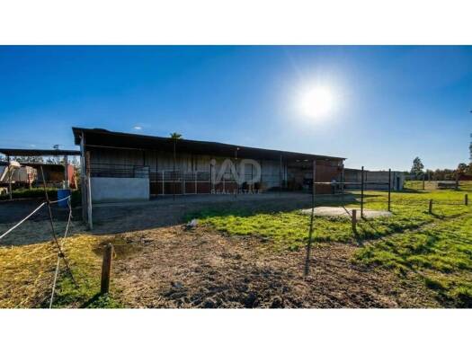 Acker-/Waldstück zum Kauf 85.000 € Almonte 21730