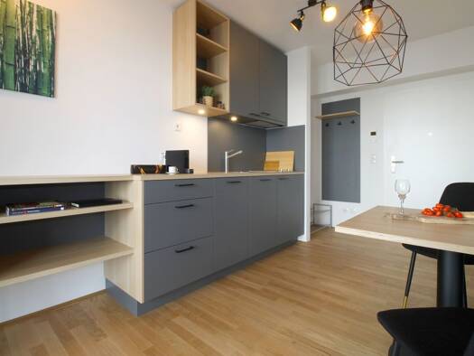 Wohnung zur Miete auf Zeit - Erstbezug 1.290 € 1 Zimmer 30 m² frei ab 01.10.2026 Plittersdorf Bad Godesberg 53175