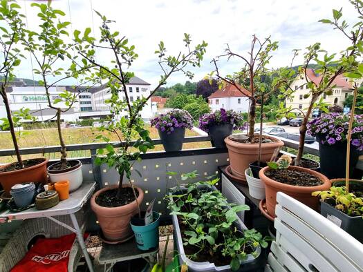 Wohnung zum Kauf 58.900 € 1 Zimmer 35,3 m² Geschoss 1/4 Freital Freital 01705