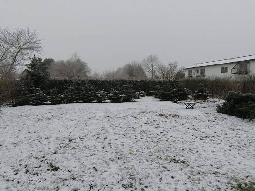 Wohnung zum Kauf provisionsfrei 165.000 € 4 Zimmer 120 m² Wettendorf Obernholz 29386