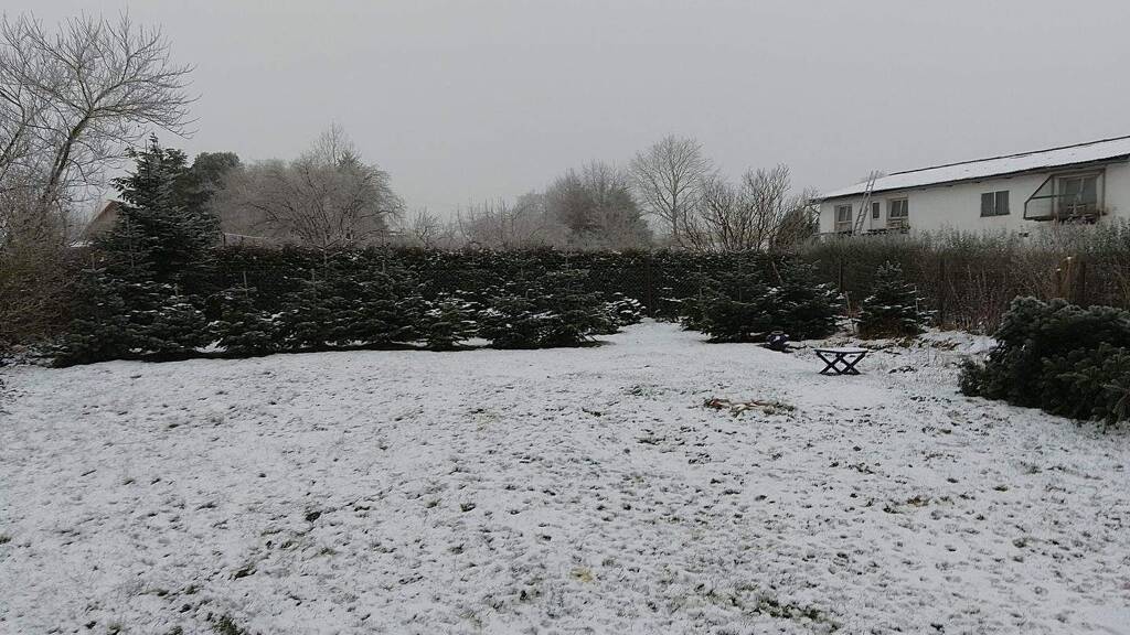 Wohnung zum Kauf provisionsfrei 165.000 € 4 Zimmer 120 m² Wettendorf Obernholz 29386