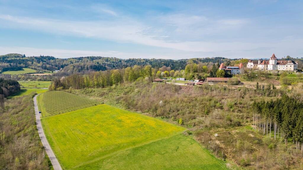 Grundstück zum Kauf 168.670 € 14.667 m² Grundstück Riegersburg 8333