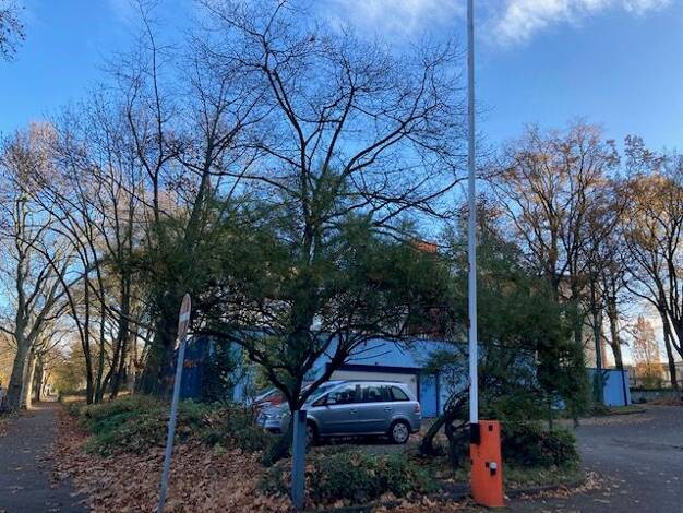 Außenstellplatz zur Miete provisionsfrei 45 € Waidmannslust Berlin 13469