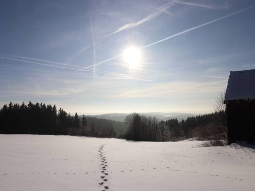Einfamilienhaus zum Kauf provisionsfrei 5 Zimmer 180 m² 45.966 m² Grundstück Schwarzenbach a Wald Schwarzenbach a.Wald 95131
