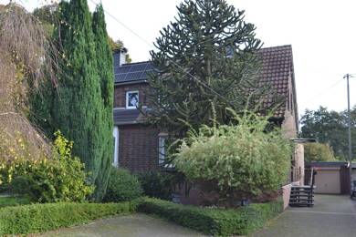 Doppelhaushälfte zum Kauf 249.000 € 5,5 Zimmer 97 m² 774 m² Grundstück Feldmark Dorsten 46282