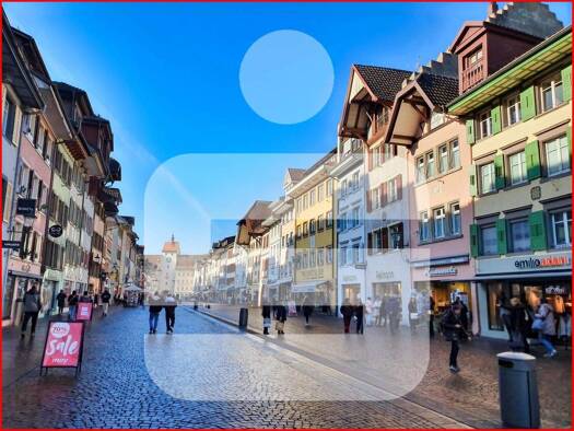 Gewerbeobjekt zum Kauf als Kapitalanlage geeignet 1.495.000 € 341 m² 111 m² Grundstück Waldshut Waldshut-Tiengen 79761