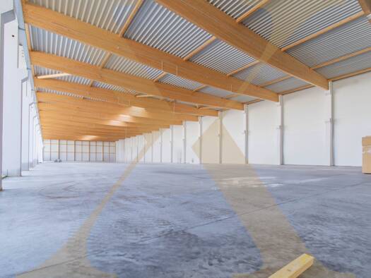 Halle/Industriefläche zur Miete 12.000 € 1.500 m² Lagerfläche Eberstalzell 4653