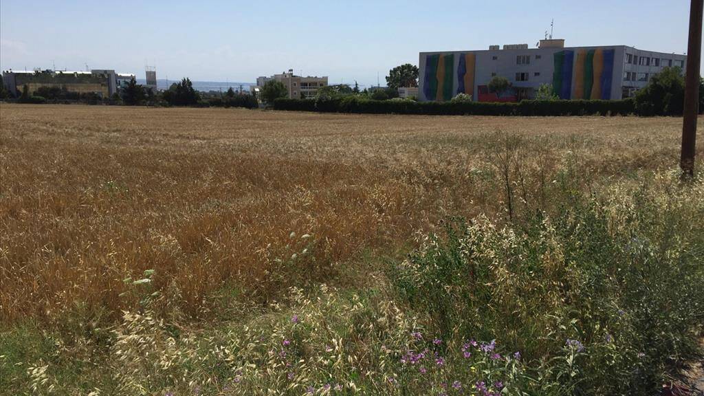 Land-/Forstwirtschaft zum Kauf 1.200.000 € 16.000 m² Grundstück Thessaloniki