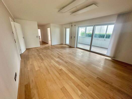 Wohnung zum Kauf 459.000 € 4,5 Zimmer 139,1 m² EG Aachstr. 8 Oberuhldingen Uhldingen-Mühlhofen 88690