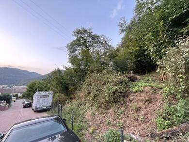 Grundstück zum Kauf 75.000 € 1.061 m² Grundstück Lambrecht (Pfalz) 67466