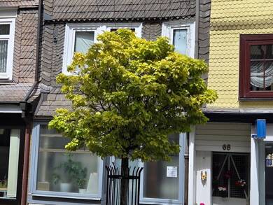 Haus zum Kauf 119.000 € 8 Zimmer 120 m² 76 m² Grundstück Haiger 35708