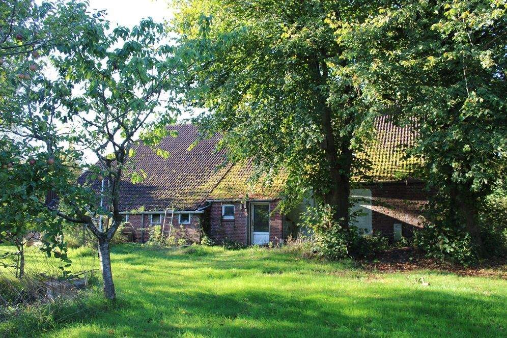 Immobilie in Esens - Nr.: 1530 renov.-bedürftige, gediegene Landstelle in Mamburg  - Bild 3