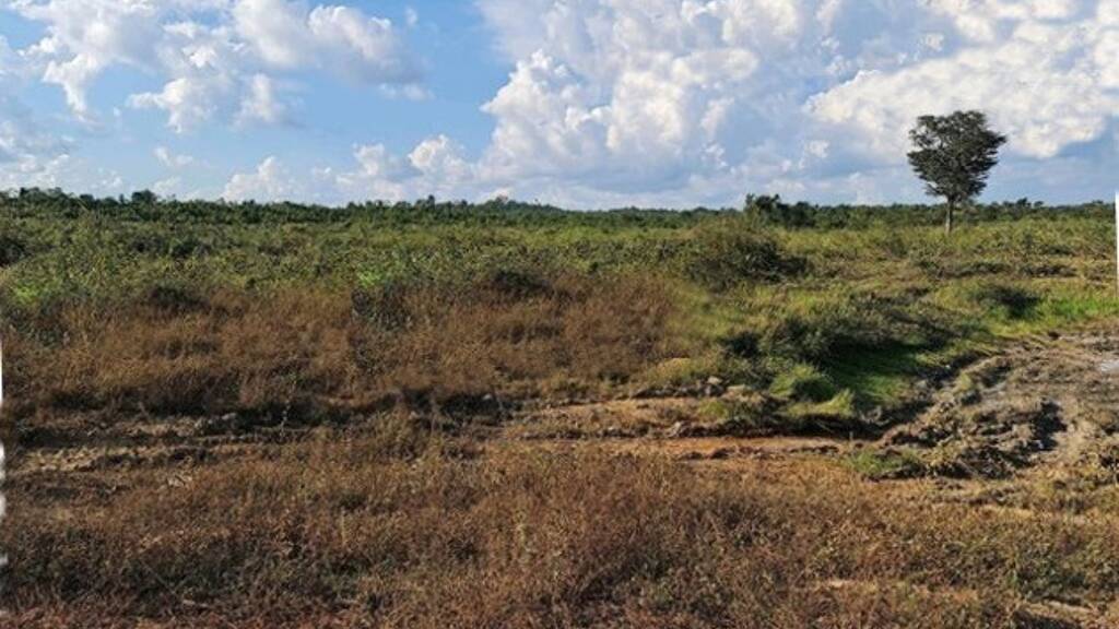 Haus zum Kauf 1.500.000 € 1 Zimmer 9.999.999 m² Grundstück Pauini 69460000