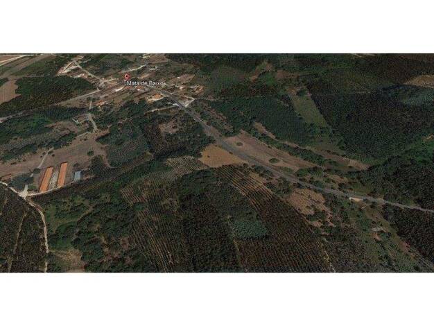Grundstück zum Kauf 20.000 € 7.800 m² Grundstück Rio Maior