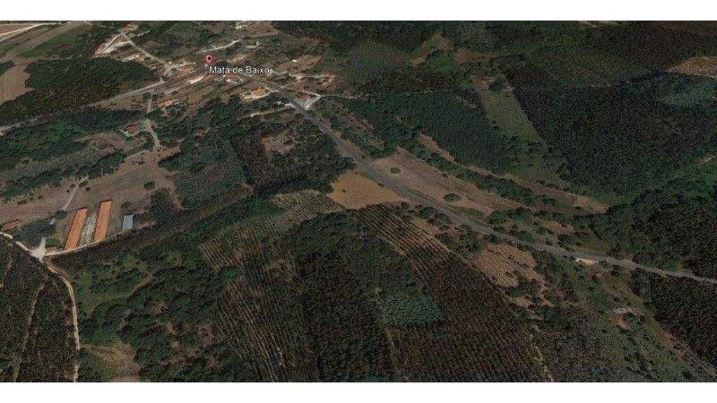 Grundstück zum Kauf 20.000 € 7.800 m² Grundstück Rio Maior