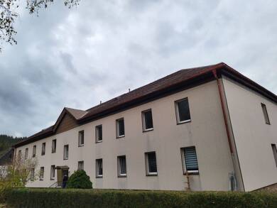 Wohnung zur Miete 260 € 2 Zimmer 48,1 m² 1. Geschoss Antonshöhe Breitenbrunn/Erzgebirge 08359