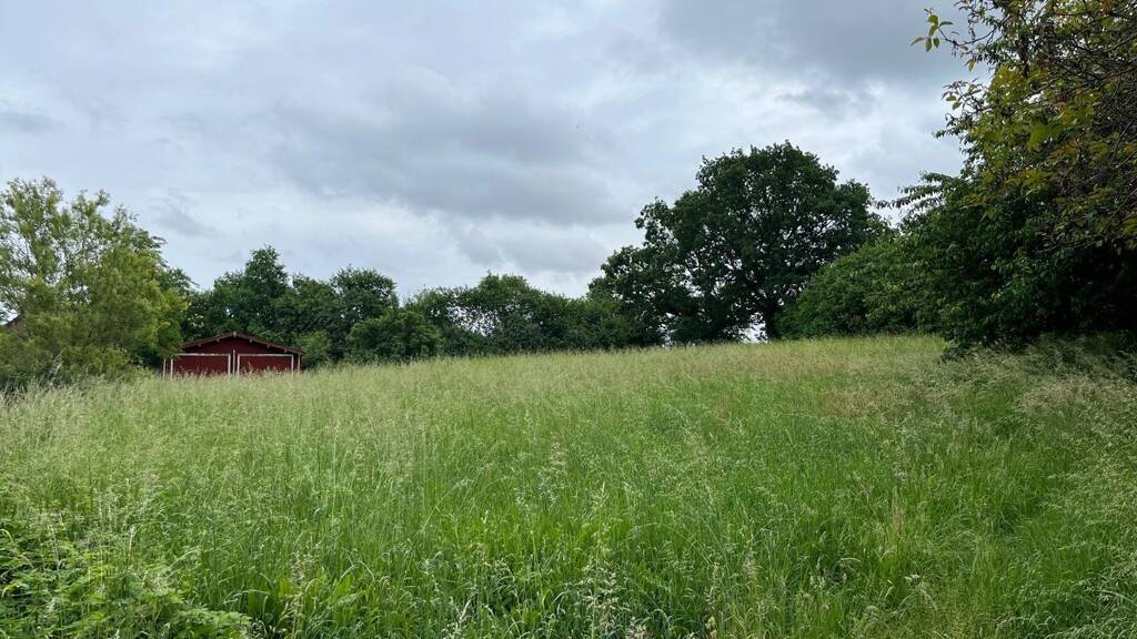 Grundstück zum Kauf 250.000 € 9.737 m² Grundstück Kruge-Gersdorf Falkenberg 16259