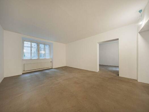 Laden zur Miete 20,97 € Ballgasse 6 Wien 1010