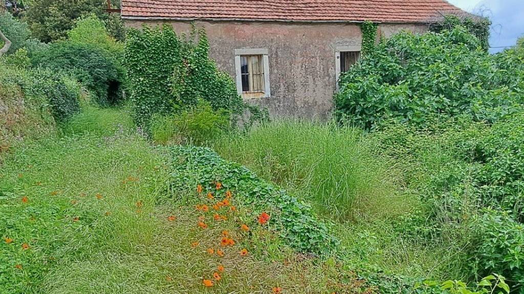 Haus zum Kauf 150.000 € 4 Zimmer 200 m² Stari Grad