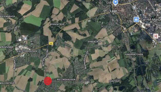 Grundstück zum Kauf provisionsfrei 60.000 € 300 m² Grundstück Steinweg, Lage-Billinhausen Billinghausen Lage 32791