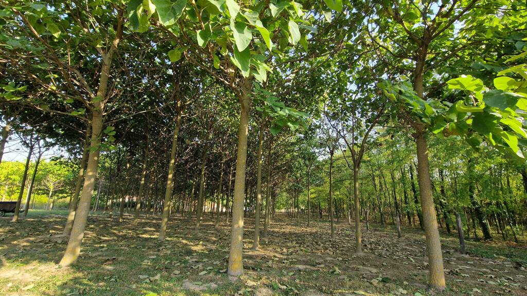 Grundstück zum Kauf 22.250 € 2.312 m² Grundstück Bábonymegyer 8658